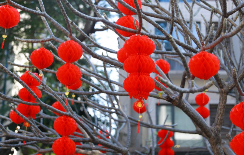 苏宁进入2020年年货节临战状态_零售_电商报