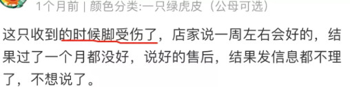 隐秘的电商生意：我花35块网购，收到一具尸体_行业观察_电商报