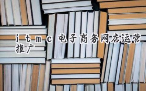 爆款打造秘籍：从0到1，玩转itmc网店运营推广