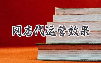网店代运营效果