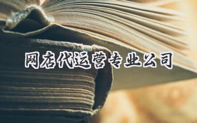 网店代运营专业公司