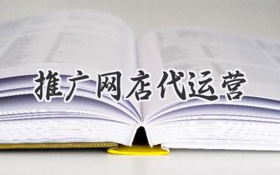 推广网店代运营