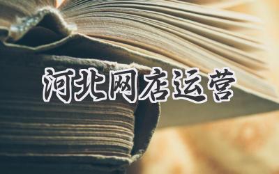河北网店运营