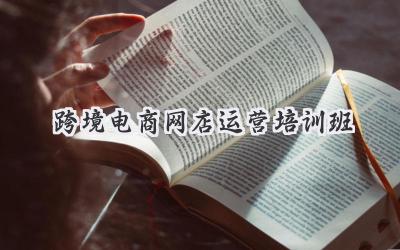 跨境电商网店运营培训班