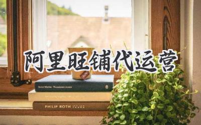 阿里旺铺代运营