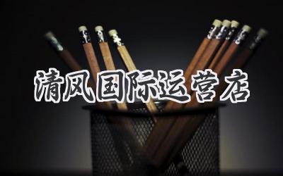 清风国际运营店