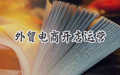 外贸电商开店运营