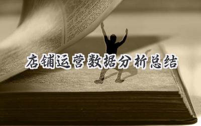 店铺运营数据分析总结