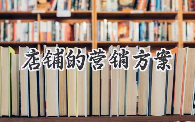 店铺的营销方案