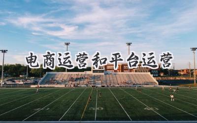 电商运营和平台运营