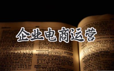 企业电商运营