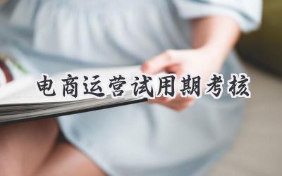 电商运营试用期考核