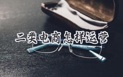 二类电商怎样运营