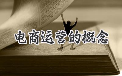电商运营的概念