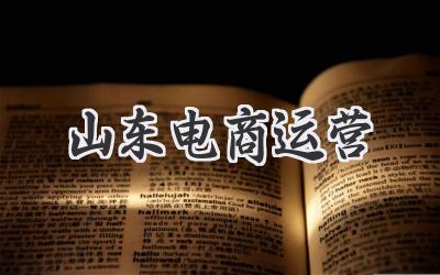 山东电商运营