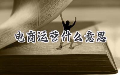 电商运营什么意思