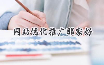 网站优化推广那家好
