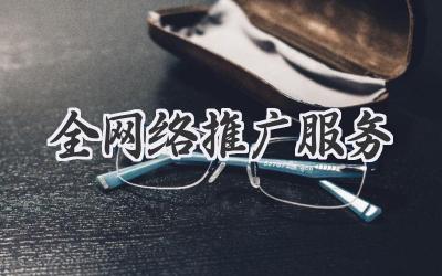 全网络推广服务