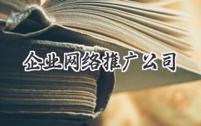 企业网络推广公司