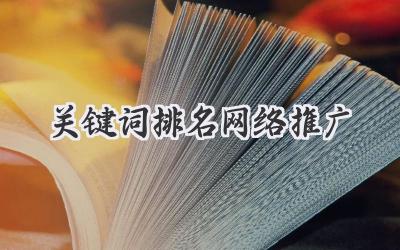 关键词排名网络推广