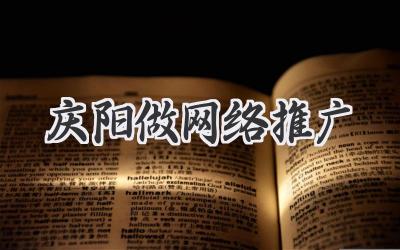 庆阳做网络推广