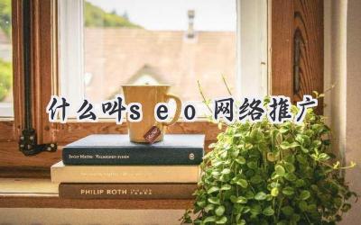 什么叫seo网络推广