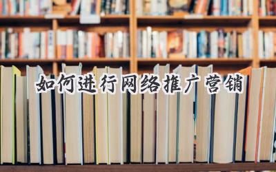 如何进行网络推广营销