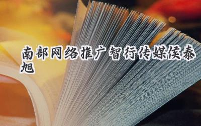 南部网络推广智行传媒侯泰旭